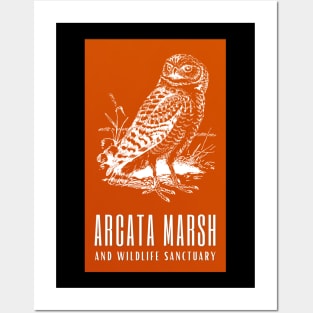 Arcata Marsh and Wildlife Sanctuary Humboldt Nature California Owl Bird Posters and Art